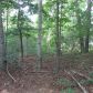 372 Juno Road, Dawsonville, GA 30534 ID:14601972