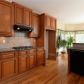 3823 Shadow Loch Drive, Suwanee, GA 30024 ID:14625919