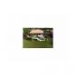 11010 SW 38th Dr, Fort Lauderdale, FL 33328 ID:14448356