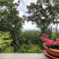 363 Petit Ridge Drive, Jasper, GA 30143 ID:14556238