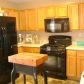 1172 Grove Trail Pass, Douglasville, GA 30134 ID:14750600