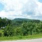 1373 State Highway 60, Suches, GA 30572 ID:14700367