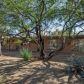 4741 N Palisade Drive, Tucson, AZ 85749 ID:14684727