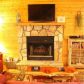 697 Skyview Drive, Ellijay, GA 30536 ID:14466884