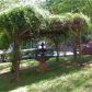 386 Woodlawn Drive, Cleveland, GA 30528 ID:14433081