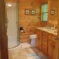 85 Joann Sisson Road, Blue Ridge, GA 30513 ID:14647038