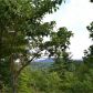 191 Knotwood Trail, Jasper, GA 30143 ID:14773762