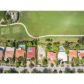 505 S Shore Dr, Miami Beach, FL 33141 ID:14468766