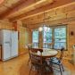 199 Muller Lane, Ellijay, GA 30540 ID:14761150