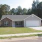 11565 Vinea Lane, Hampton, GA 30228 ID:14665970