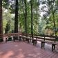 9336 Dogwood Place, Gainesville, GA 30506 ID:14647133