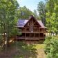 1011 Conasauga Road, Ellijay, GA 30540 ID:14794744