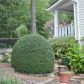 262 Claystone Walk View, Cleveland, GA 30528 ID:14869116