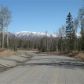 L10 B2 Redemption Circle, Wasilla, AK 99654 ID:13818865