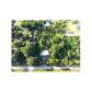 19395 SW 248th St, Homestead, FL 33031 ID:14626275