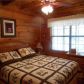 50 Briar Creek Drive, Ellijay, GA 30540 ID:14374525