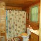 50 Briar Creek Drive, Ellijay, GA 30540 ID:14374526