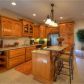 700 The Oaks Drive, Ellijay, GA 30540 ID:14795669