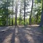 251 Flatbottom Trail, Ball Ground, GA 30107 ID:14828851