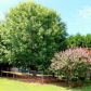 435 Bomar Lane, Douglasville, GA 30134 ID:14814332