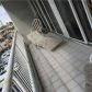 9341 Collins Ave # 203, Miami Beach, FL 33154 ID:14653686