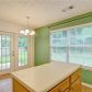 213 Oak Grove Way, Acworth, GA 30102 ID:14753925