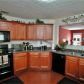 1557 Alcovy Falls Drive, Lawrenceville, GA 30045 ID:14812967