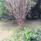 4017 Oak Glenn Drive, Duluth, GA 30096 ID:14109453