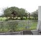 5300 NW 87 AVE # 805, Miami, FL 33178 ID:14799490