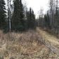 16554 S Dairy Loop, Wasilla, AK 99654 ID:13766164