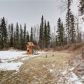 4580 W Sassy Avenue, Wasilla, AK 99654 ID:13735779