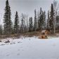 4580 W Sassy Avenue, Wasilla, AK 99654 ID:13735782