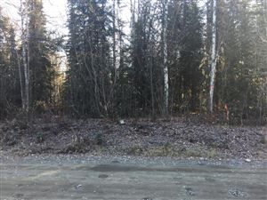 3767 S Mink Street, Big Lake, AK 99652