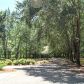 342 Deer Creek Trail, Hoschton, GA 30548 ID:14557687