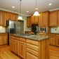 534 Redbud Pass, Jasper, GA 30143 ID:14667880