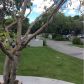 13290 SW 88th Ln # A205, Miami, FL 33186 ID:14577208