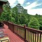 427 Golden Delicious Road, Clarkesville, GA 30523 ID:14839384