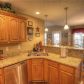 215 Huiet Drive, Mcdonough, GA 30252 ID:14799046