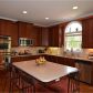 353 Thorncliff Landing, Acworth, GA 30101 ID:14483732