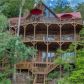 301 Chestatee View Drive, Dawsonville, GA 30534 ID:14790752