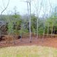 353 Old White Oak Trail, Dawsonville, GA 30534 ID:14657184