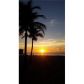 2201 S OCEAN DR # 1807, Hollywood, FL 33019 ID:13856498