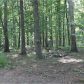 105 Hickory Nut Trail, Dawsonville, GA 30534 ID:14516376