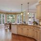 10585 Morton Ridge Drive, Alpharetta, GA 30022 ID:14557063