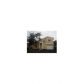 12666 NW 15th St, Fort Lauderdale, FL 33323 ID:13903097