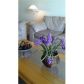 2780 NE 183rd St # 1109, North Miami Beach, FL 33160 ID:14373585