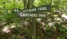 LOT 22 CASCADE LANE Todd, NC 28684