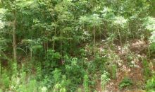 LOT 32B MOUNTAIN HARBOUR Hayesville, NC 28904