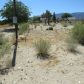 1635 Del Rosa Road, Pinon Hills, CA 92372 ID:14879685