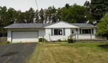 1094 Lake Marie Dr Horton, MI 49246